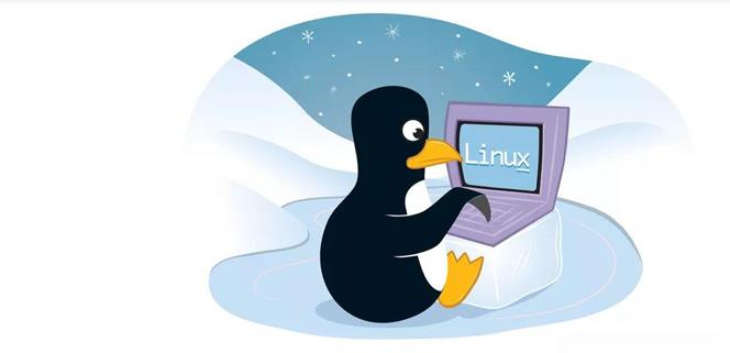 查看linux文件的方法