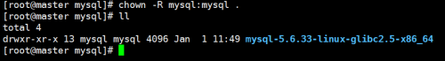 linux如何安装mysql