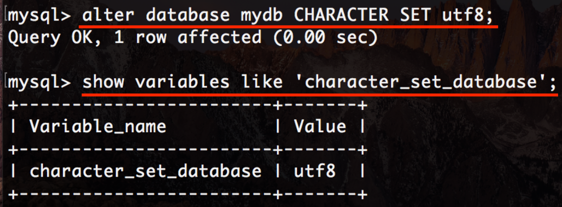 java如何设置mysql编码