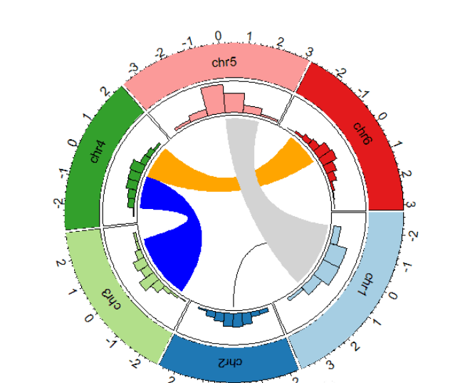 R语言怎么实现circlize包画圈图