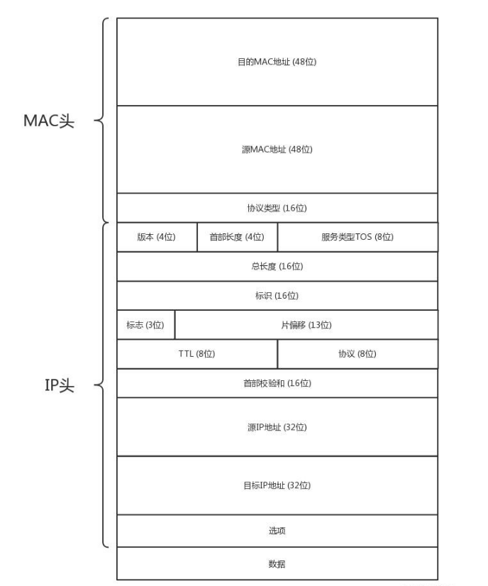 web的路由协议有哪些知识点