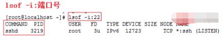 linux如何查看端口被哪个进程占用