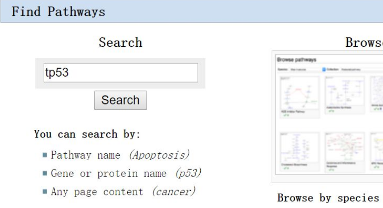 代谢通路专用数据库wikipathway是怎么样的