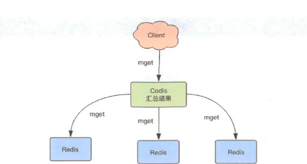 如何深入了解Redis中的Codis