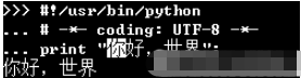 python怎么运行