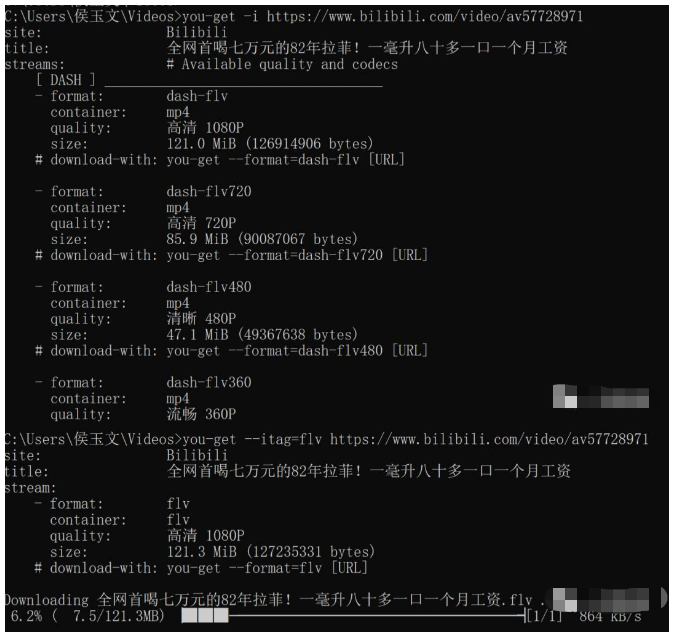 如何用一行python代码下载全网视频