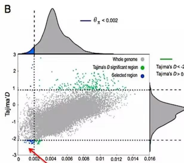 ggplot2如何画散点图拼接密度图