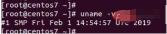linux如何查看系统信息