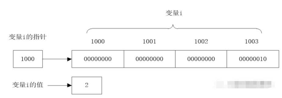 c语言指针变量怎么赋值