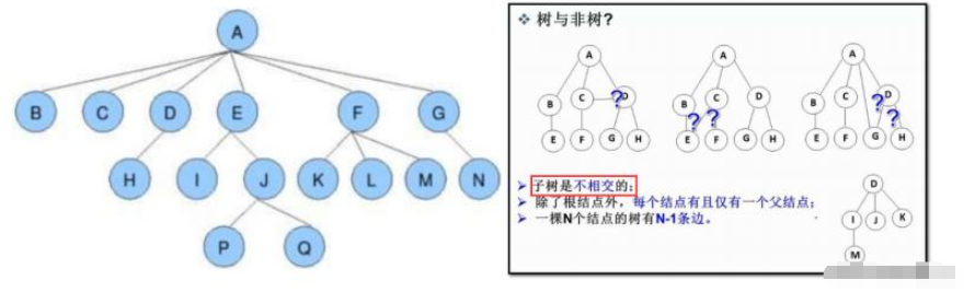 Java中二叉树的基础概念是什么