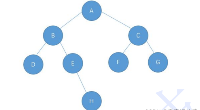 Java中二叉树的基础概念是什么