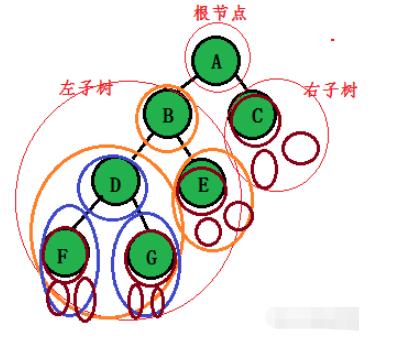 C语言二叉树的概念是什么及怎么使用