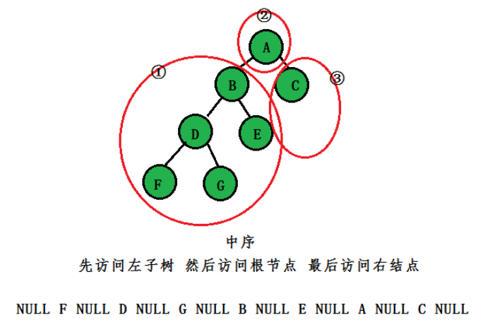 C語言二叉樹的概念是什么及怎么使用