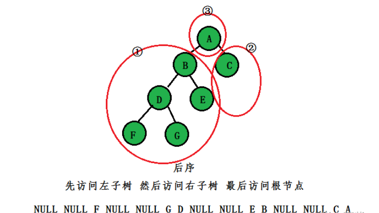 C語言二叉樹的概念是什么及怎么使用