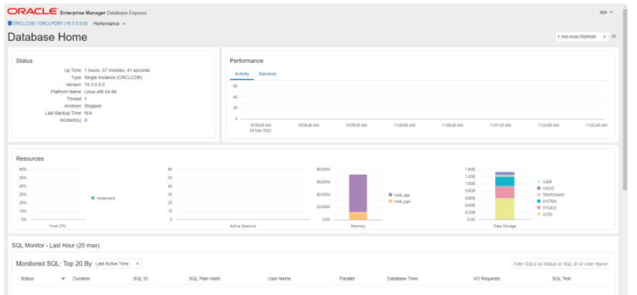 Docker如何安装Oracle19c