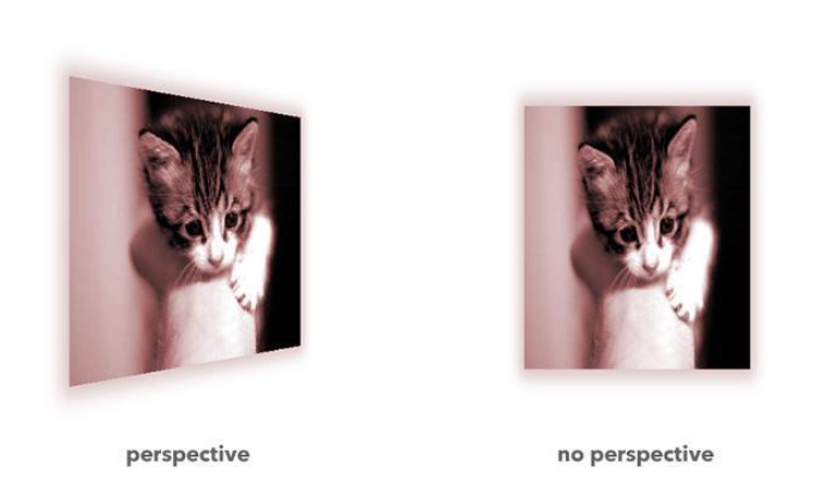 css中perspective属性和perspective()函数有什么异同点
