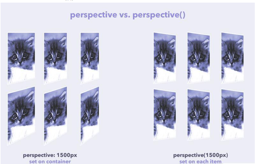 css中perspective属性和perspective()函数有什么异同点
