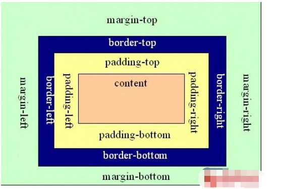 CSS中怎么用margin和padding  css 第1张