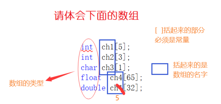 C语言数组入门实例分析