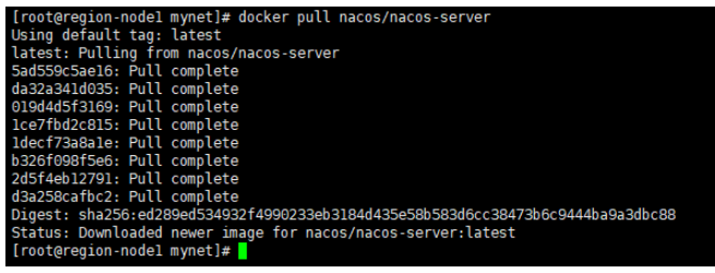 怎么用docker方式部署nacos  docker 第1张