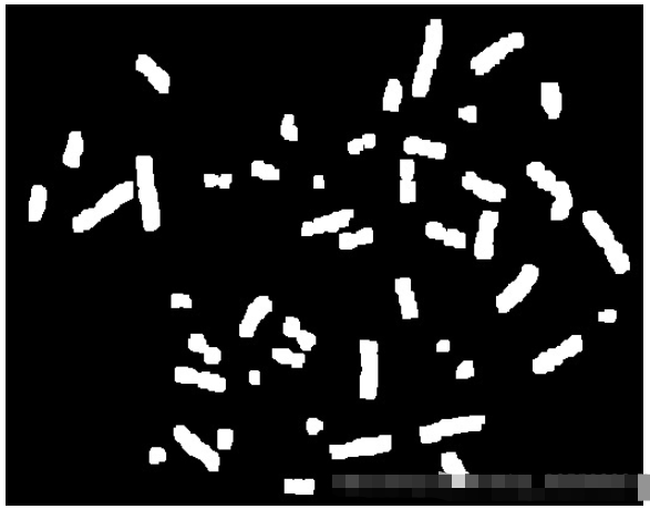 Python如何实现数字图像处理染色体计数