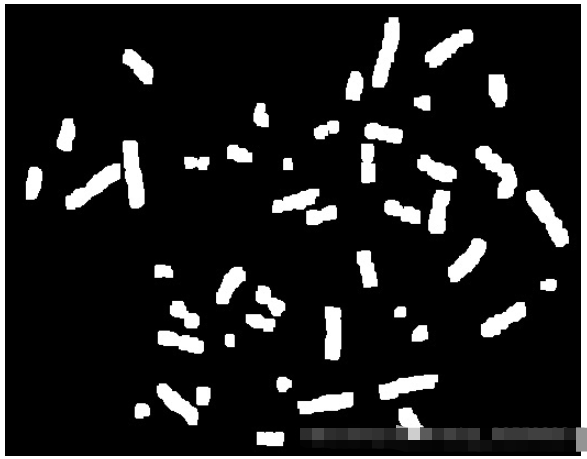 Python如何实现数字图像处理染色体计数  python 第5张