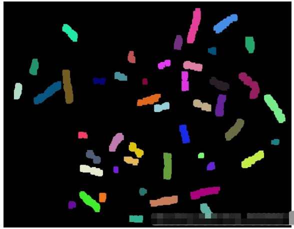 Python如何实现数字图像处理染色体计数  python 第6张