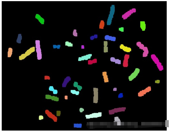 Python如何实现数字图像处理染色体计数  python 第7张