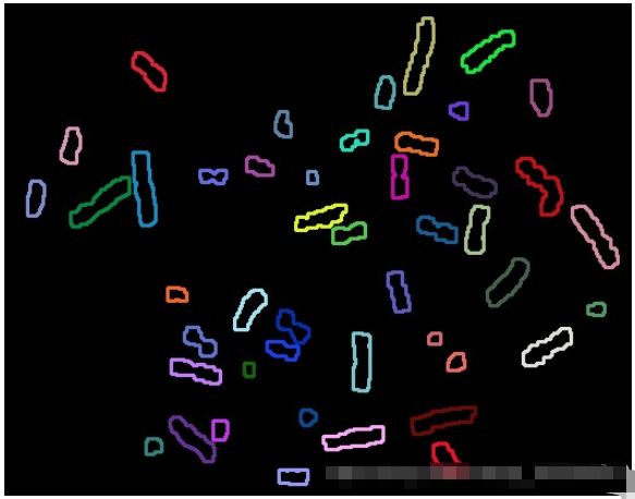 Python如何实现数字图像处理染色体计数  python 第8张
