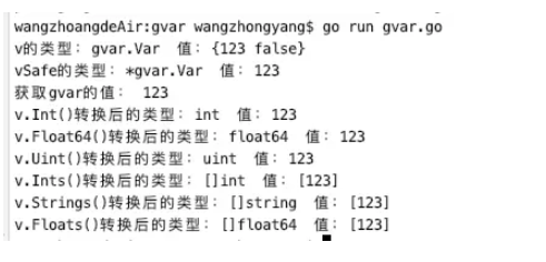 GoFrame通用类型变量gvar与interface如何使用