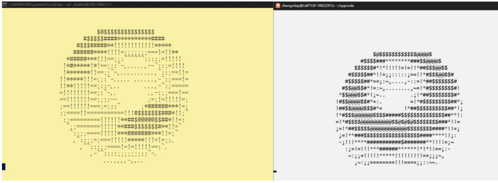 C++代码和可执行程序在x86和arm上的区别是什么