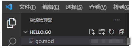 go语言VScode see 'go help modules' (exit status 1)问题如何解决