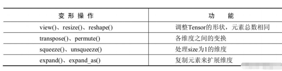 pytorch Tensor的数据类型怎么应用