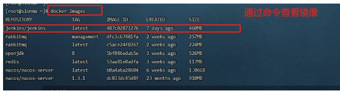 Linux环境下怎么使用Docker搭建Jenkins容器  docker 第3张