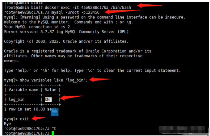 docker中mysql开启日志怎么实现  docker 第9张
