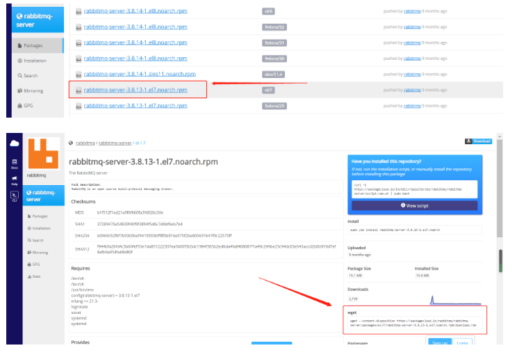 RabbitMQ安装的方法是什么  rabbitmq 第1张