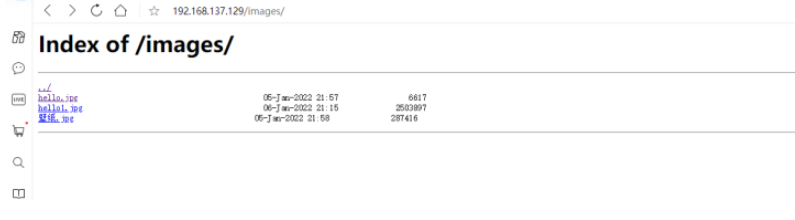 nginx反向代理ftp服务器怎么搭建  nginx ssr 机场 第3张