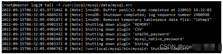 MySQL报错The server quit without updating PID file如何解决