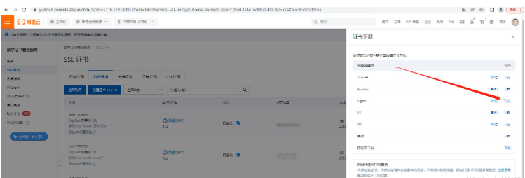 nginx https 443端口如何配置