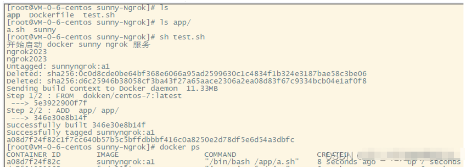 docker發(fā)布sunnyNgrok怎么實現(xiàn)內(nèi)外網(wǎng)穿透