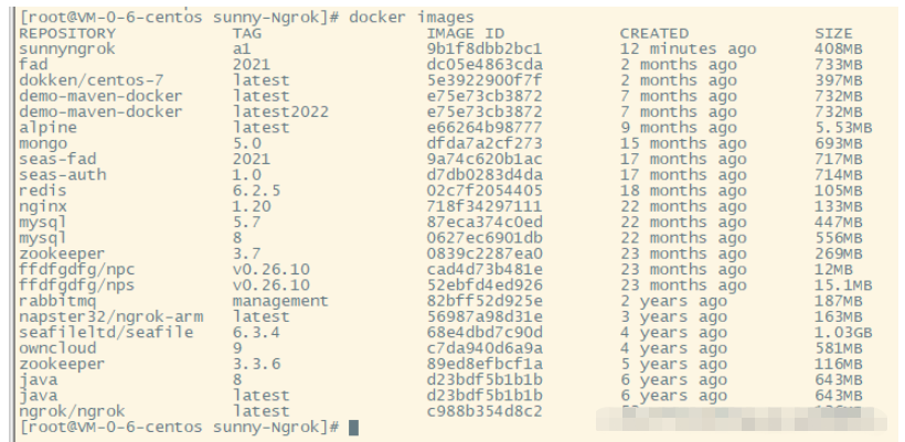 docker發(fā)布sunnyNgrok怎么實現(xiàn)內(nèi)外網(wǎng)穿透