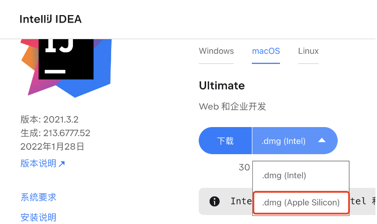 Mac m1电脑idea卡顿如何解决