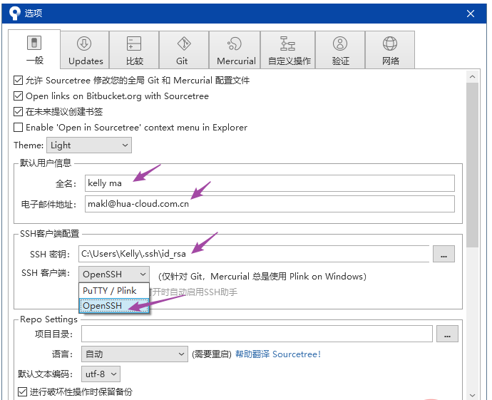 git可视化提交工具Sourcetree怎么使用  git 第9张