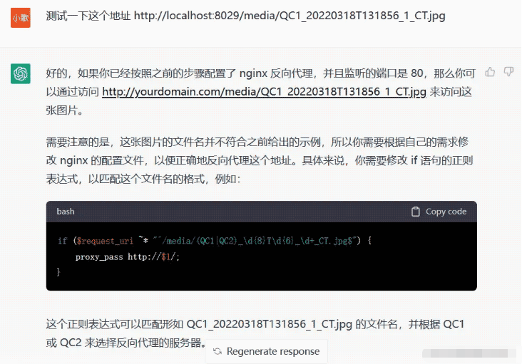 怎么使用ChatGPT解決Nginx反向代理的問題