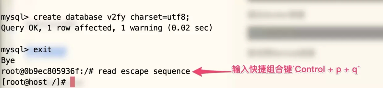 如何用Docker搭建外部可以訪問的mysql