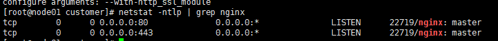 linux下如何安装Nginx1.16.0