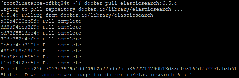 docker安裝ElasticSearch6.x的方法