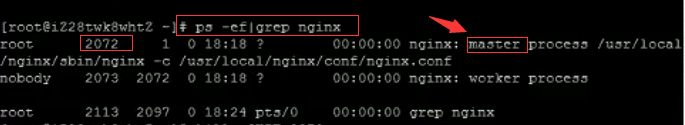 Linux下如何安装nginx