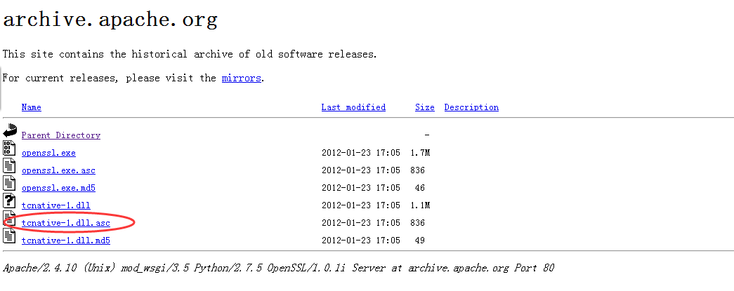 tomcat啟動(dòng)報(bào)錯(cuò)environments was not found on the java.library.path怎么解決